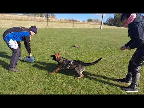 Michael Orrylordblack- Protection 10/2021