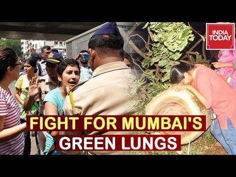 download lagu mp3 mp4 Aarey Forest Mumbai, download lagu Aarey Forest Mumbai gratis, unduh video klip Aarey Forest Mumbai