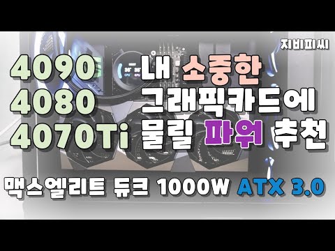 컴퓨터 생태계 교란종 등장! ATX3.0 파워 맥스엘리트 듀크 1000W 플래티넘