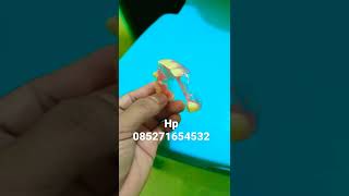 Download lagu gigi palsu flexyble tapak elastis #gigi #gigipalsu #valplast #flexible #dental mp3 Download lagu gigi palsu flexyble tapak elastis #gigi #gigipalsu #valplast #flexible #dental mp3