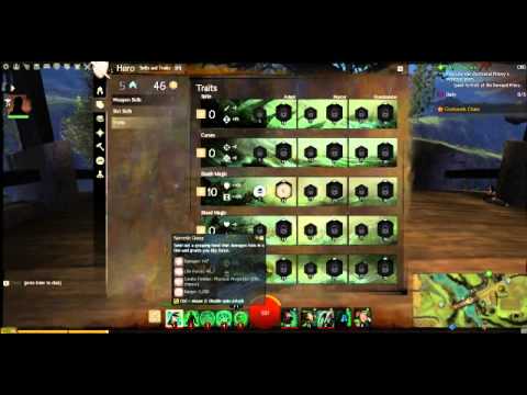 Necromancer Leveling Build (Levels 11- 80) [Guild wars 2]
