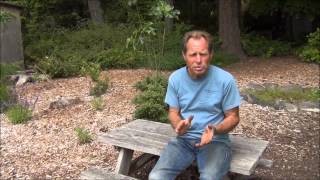 Cross Pollination & Saving Seeds - Back to Eden garden Q&A - L2Survive with Thatnub