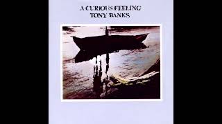 Tony Banks - Lucky Me [5.1 Surround Sound]