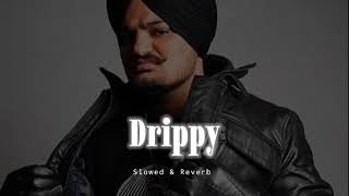 Download lagu Drippy - Slowed & Reverb - Sidhu Moose Wala X AR Paisley mp3