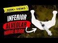 Inferior Alveolar Nerve Block IANB