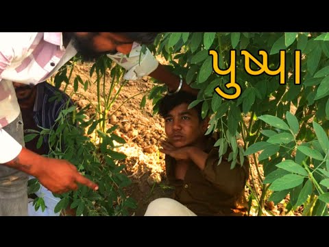 ￼￼Pushpa // કોમેડી વિડીયો // comedy video @CMOfficial-0065 ￼