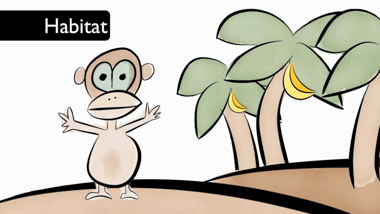 Nochebuena planta reproduccion asexual de las plantas Mark drollinger asexual reproduction plants
