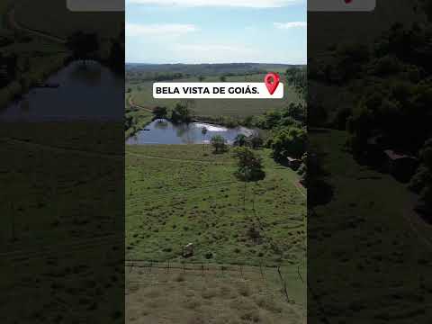 Siteo em Bela Vista de goias. Contato 62994647454.