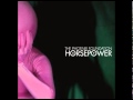 The Phoenix Foundation - Lambs - Horsepower (10)