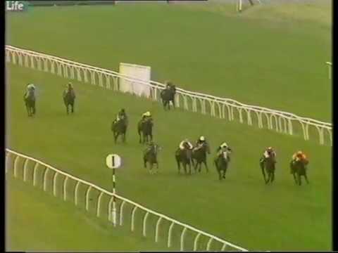 1991 St Simon Stakes