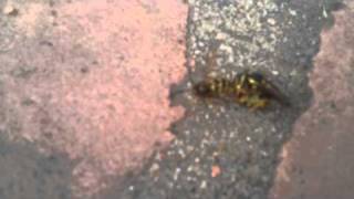 When Are You Gonna R Her?