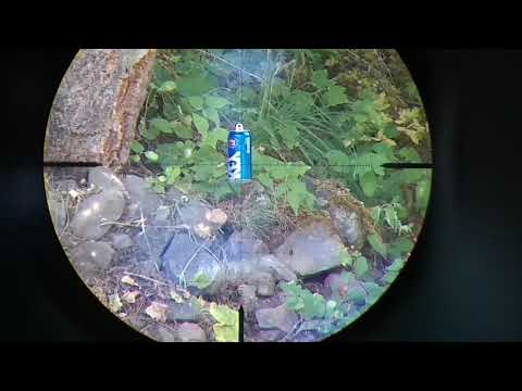 FX Impact MkII in .30 Cal shooting my 39.5gr Hybrid slug @ 960 fps vs water filled can @ 41 yards