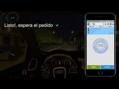 TAXI 300 - CHOFER