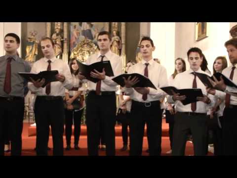 Zbor Allegro -Vilo moja