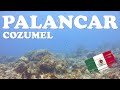 Diving the famous Palancar Reef in Cozumel, Mexico