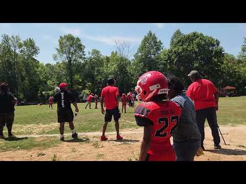 mighty vikings vs sunset  tigers