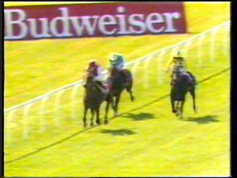1989 - Curragh - Irish Derby - Old Vic