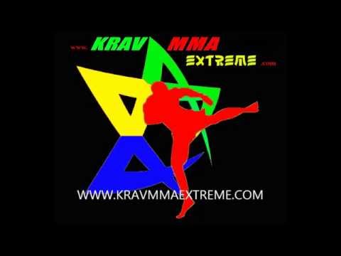 DIFESA PERSONALE TORINO ITALIA STAGE CORSI LEZIONI INDIVIDUALI DI KRAV MAESTRO PINTALDI ALESSANDRO