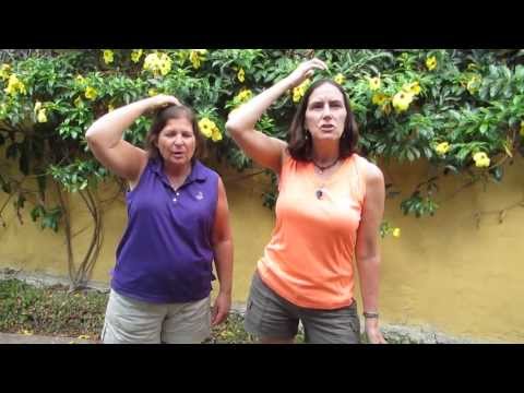 YouTube video