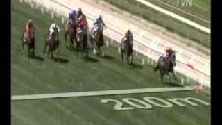 Black Caviar - 6 from 6 - wins the Schillaci Stakes-G2 at Caulfield