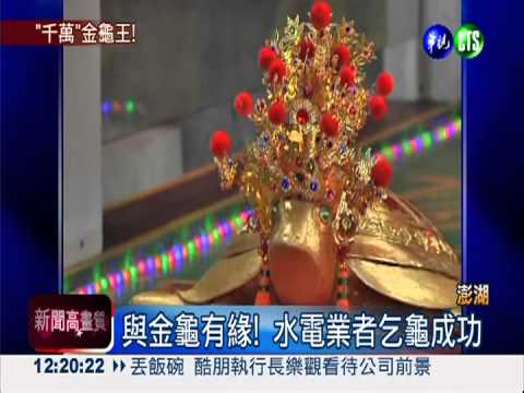 乞龜得主出爐 1750萬金龜帶回家!