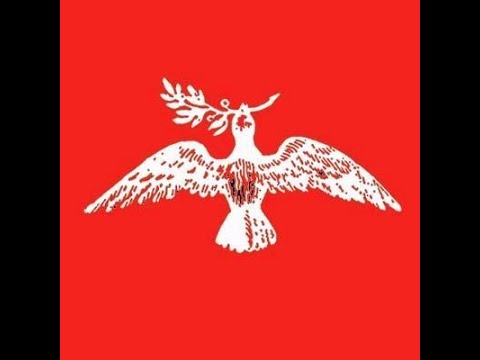 Social Distancing Tour - Concert 01