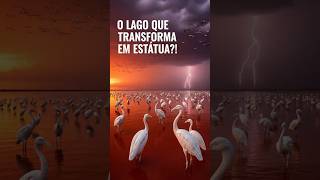 🦩🪦 O Lago que Transforma Animais em Estátuas 🦩🪦 #LagoNatron #EstátuasVivas #Tanzânia
