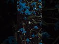 ️Munbe Vaa ️ Romantic Lofi Lofi Remix New Love Status Video 2022 Gramophone Bites