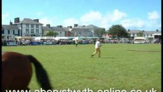 preview picture of video 'Welsh Horse Show At Aberaeron West Wales'