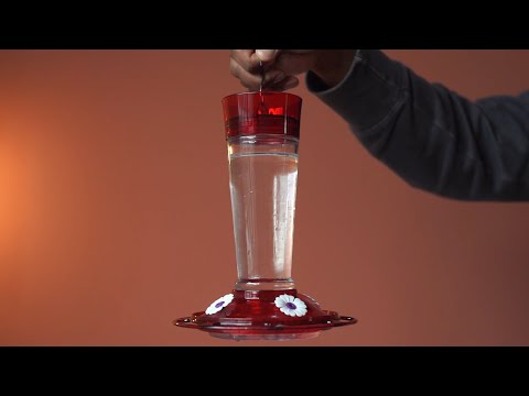 Overview & DEMO: More Birds Bird Health+ Ruby Hummingbird Feeder for Outdoors