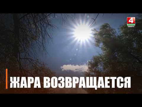 Жара до +30°C. Оранжевый уровень опасности объявлен на Гомельщине