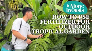 How to Fertilize for Outdoor Tropical Garden | The Benefits of using organic fertilizer & Pesticide