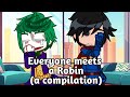 Everyone Meets A Robin A Compilation Gacha DC