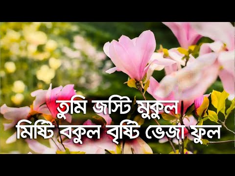 তুমি যষ্টি মুকুল মিষ্টি বকুল বৃষ্টি ভেজা ফুল ।। Tumi josti mukul misty bokul ।। Full Lyric ।। PHS HD