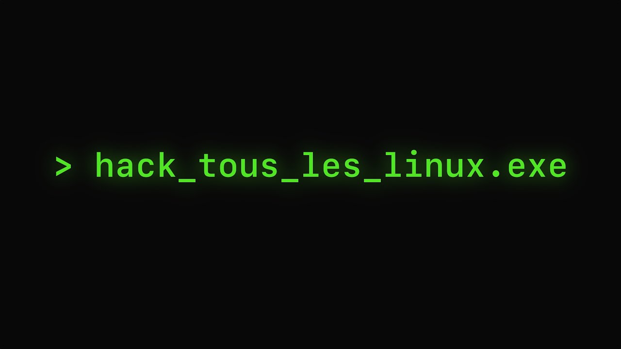 Comment la pire faille de Linux a été trouvé par pure chance ?