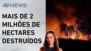 Miniatura do vídeo