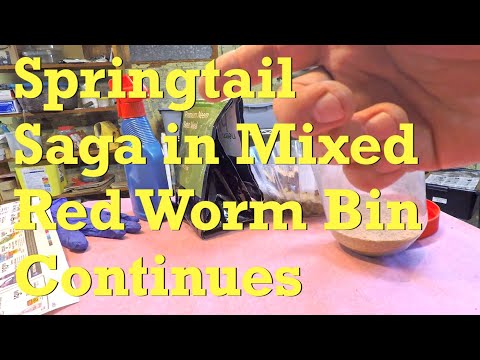 Ongoing neem & now drying against springtails in mixed red worm bin - vermicompost