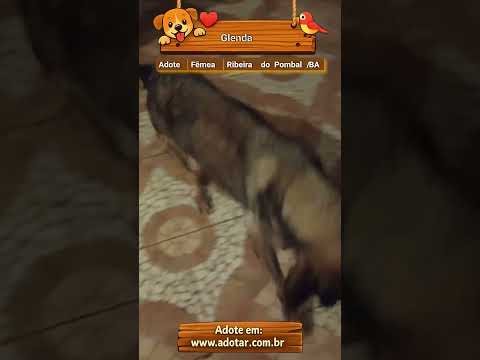 Vídeo de Glenda 