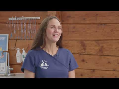 Sandviken Dyreklinikk - Petosan