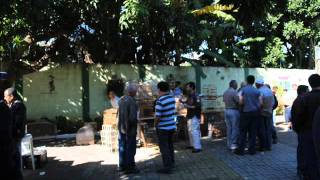 PAELLA DO LUA -2011