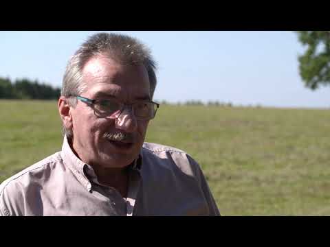 Sicherer Umgang mit Rindern - Wie Rinder hören, riechen und fühlen