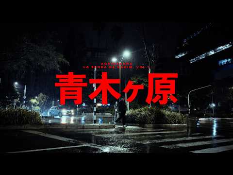 Aokigahara