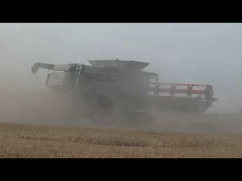 Getreide - Ernte 2019