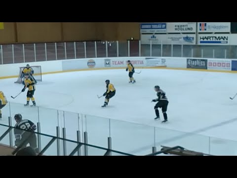 5.1. Jeppis Hockey - APV