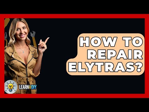 How To Repair Elytras? - LearnToDIY360.com