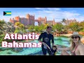 HOTEL BAHAMAS ATLANTIS COMO É SE HOSPEDAR NO MEGA RESORT EM PARADISE ISLAND