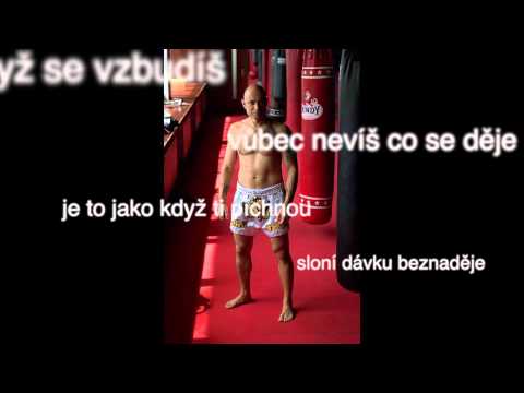 Daniel Landa - Šmouha (ukázka nové písně)