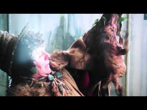 偽マンドレークの根 植物