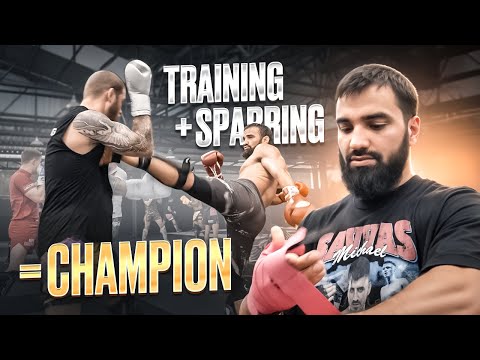 Khusein & Khasan Askhabov: Perfect Training And Sparring Day With Brothers on Phuket