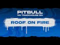 Pitbull Roof On Fire Visualizer